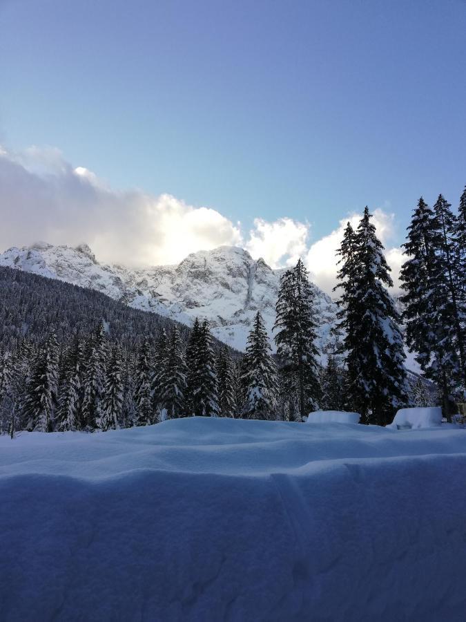 Appartamento Stella Alpina Padola Esterno foto